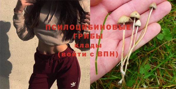 гашик Балабаново