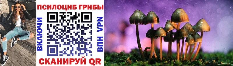 Псилоцибиновые грибы GOLDEN TEACHER  Крымск 